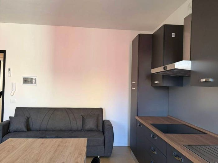 Appartamento bilocale in affitto in Centro, Boara Pisani