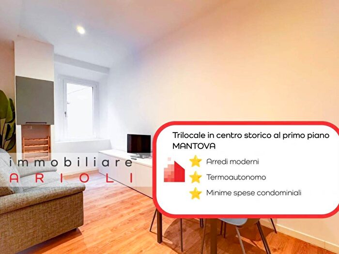 Appartamento trilocale in affitto in Vicolo Santa Maria, Centro, Mantova