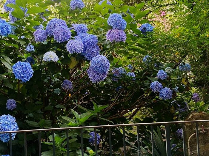 Appartamento trilocale in affitto in Via Piedigrotta, Mergellina Piedigrotta, Napoli