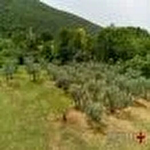 Casa in vendita in Toffia