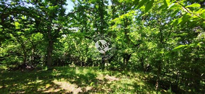 Appartamento bilocale in vendita in Via Stazione, Cinigiano