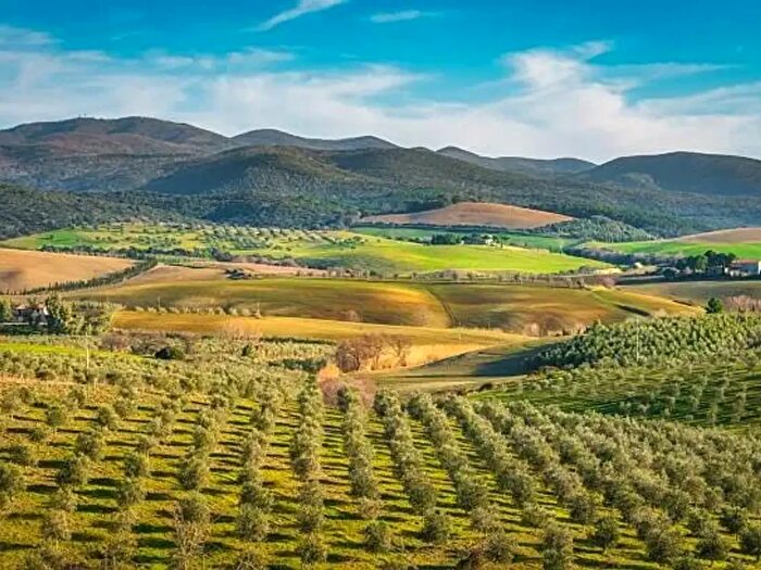 Casa quadrilocale in vendita in Bibbona