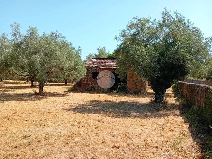 Casa monolocale in vendita in Via del Giardino, Castel SantElia