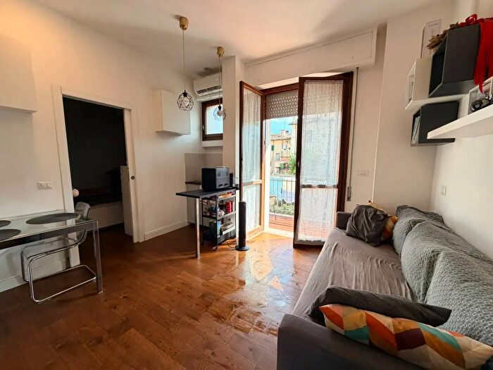Appartamento bilocale in affitto in Lungarno Ferrucci, Firenze