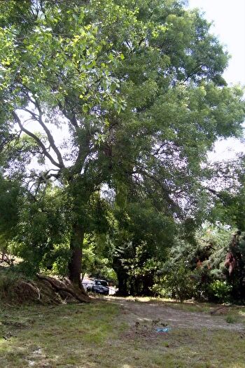 Casa con 7 locali in vendita in Fermo