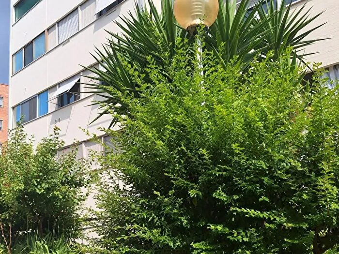 Appartamento con 5 locali in vendita in Dolfo Omodeo, Pisa