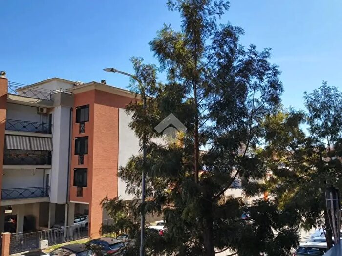 Appartamento quadrilocale in affitto in Via Oslavia, Latina