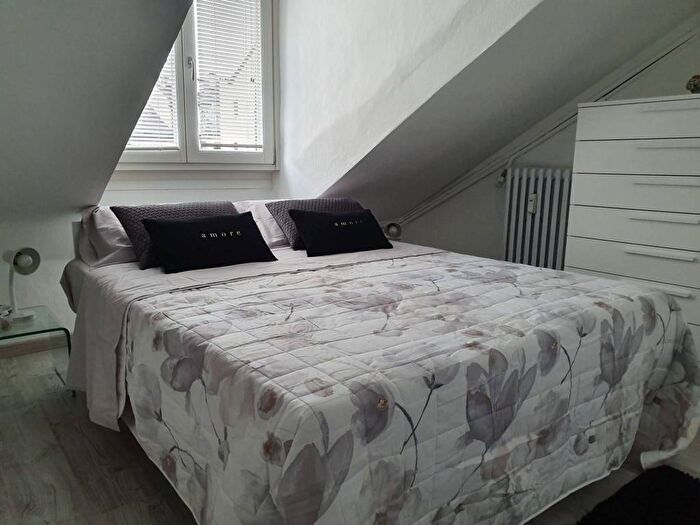 Appartamento bilocale in affitto in Via Amedeo Peyron, San Donato, Torino