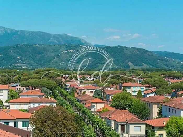 Appartamento bilocale in affitto in Camaiore