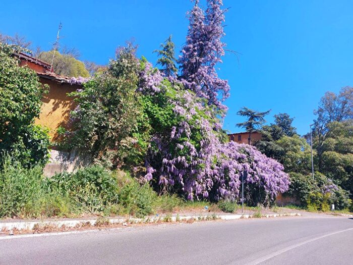 Appartamento bilocale in affitto in Viale dellOceano Pacifico, Eur, Roma