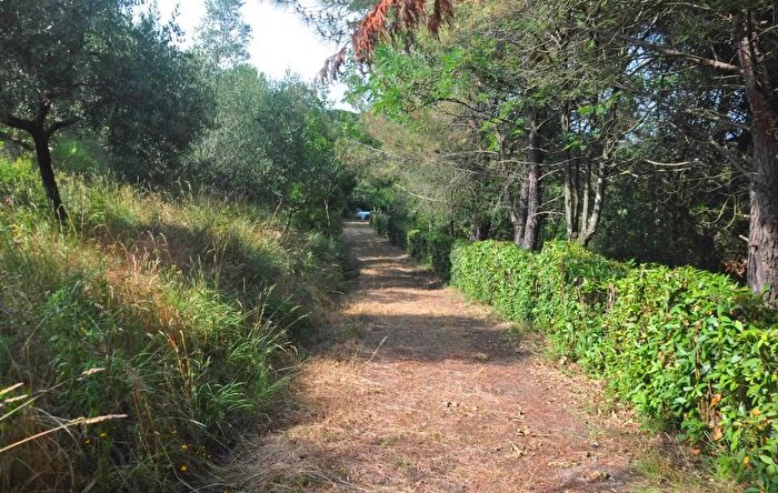 Casa in vendita in Rosignano Marittimo