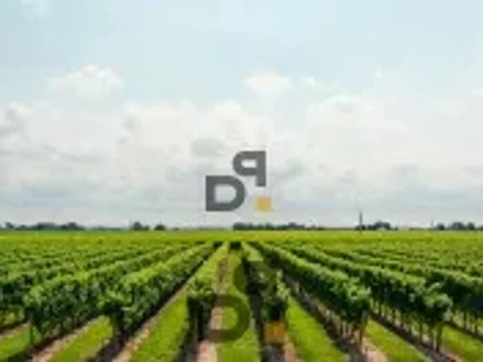 Casa con 13 locali in vendita in Loc Pargone, Roe Volciano