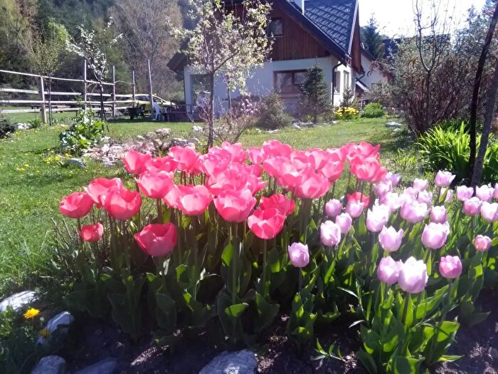 Casa con 5 locali in vendita in Via Rio Bianco, Malborghetto Valbruna