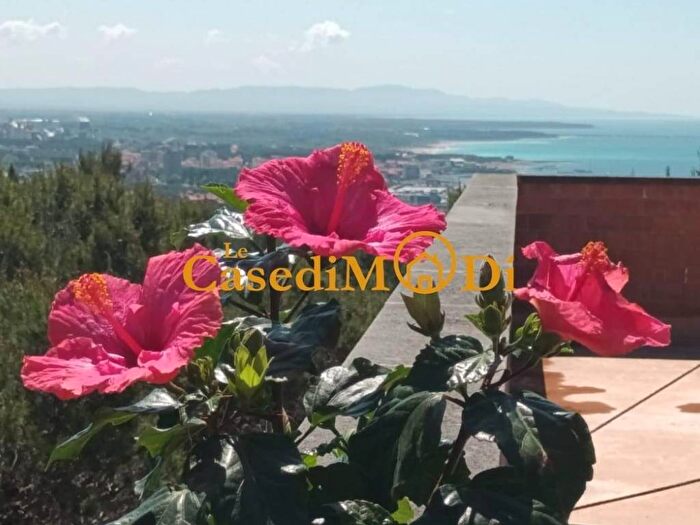 Appartamento trilocale in affitto in Castiglioncello, Rosignano Marittimo