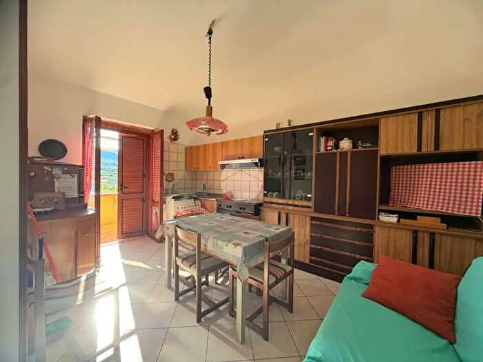 Appartamento trilocale in vendita in Via degli Ulivi, Santa Maria Del Cedro