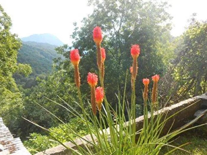 Casa con 12 locali in vendita in Località San Bernardo Valduggia, Stella