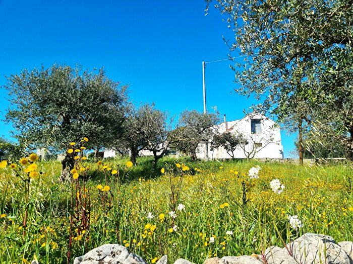 Casa con 7 locali in vendita in Via Colucci Alberobello, Alberobello