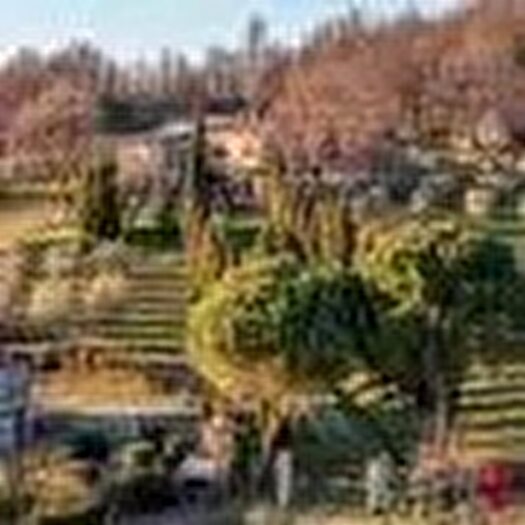 Casa in vendita in Castelnuovo Val Di Cecina