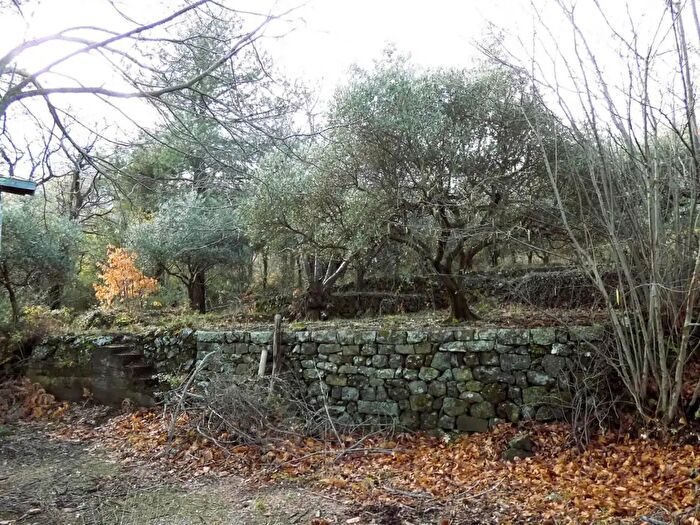 Appartamento trilocale in vendita in Strada Regionale Mareneve, Castiglione Di Sicilia