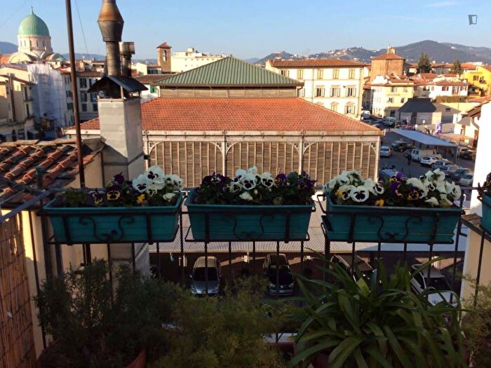 Appartamento trilocale in affitto in Via dell'Agnolo, Sant'Ambrogio, Firenze