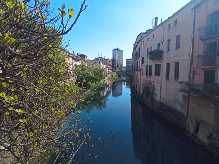 Appartamento bilocale in affitto in Savonarola Ponte Molino, Padova