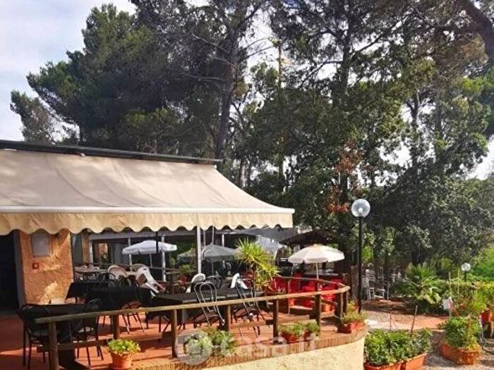 Appartamento bilocale in affitto in Neighbourhood StazioneLillatro, Rosignano Solvay, Rosignano Marittimo