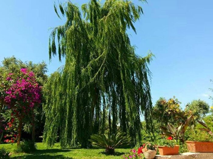 Casa trilocale in affitto in Strada Benali, Tivoli, Siracusa