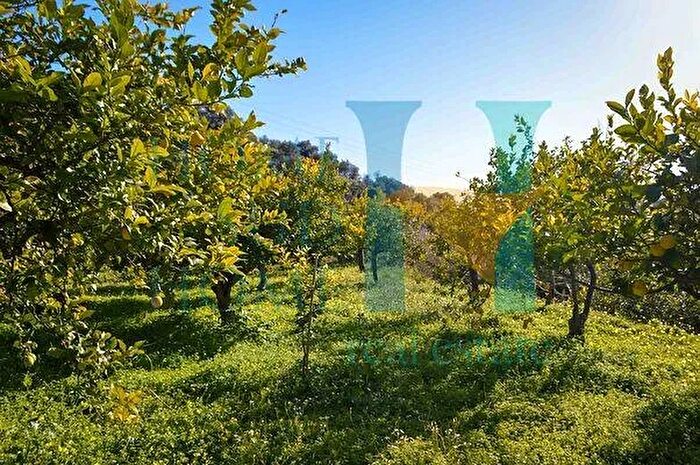 Casa in vendita in Noto