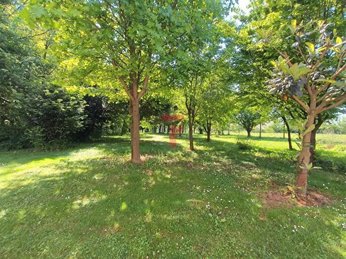 Casa con 6 locali in vendita in Via Monte Grappa, Limena