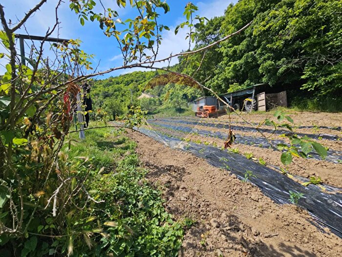 Casa con 15 locali in vendita in Sassetta