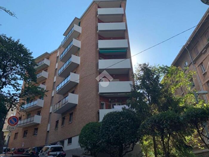 Appartamento quadrilocale in affitto in Via castagneto, Cologna Università, Trieste