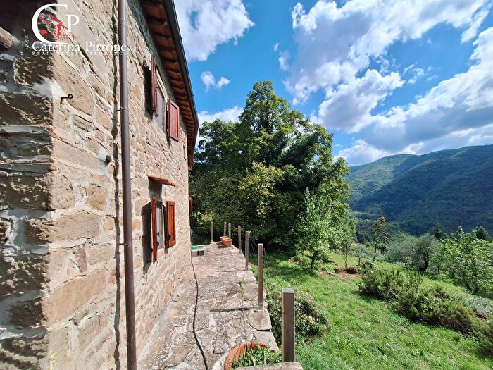 Casa con 10 locali in vendita in Via del Masso, Londa