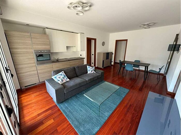 Appartamento quadrilocale in affitto in via andrea e pietro cascella, Santa Giulia, Milano