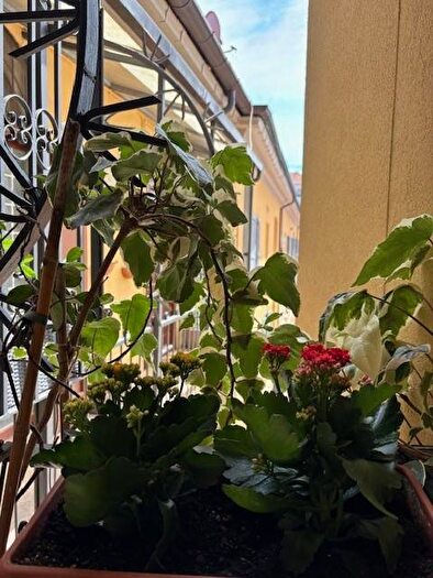 Appartamento bilocale in affitto in Viale Sabotino, Porta Romana Medaglie d'Oro, Milano