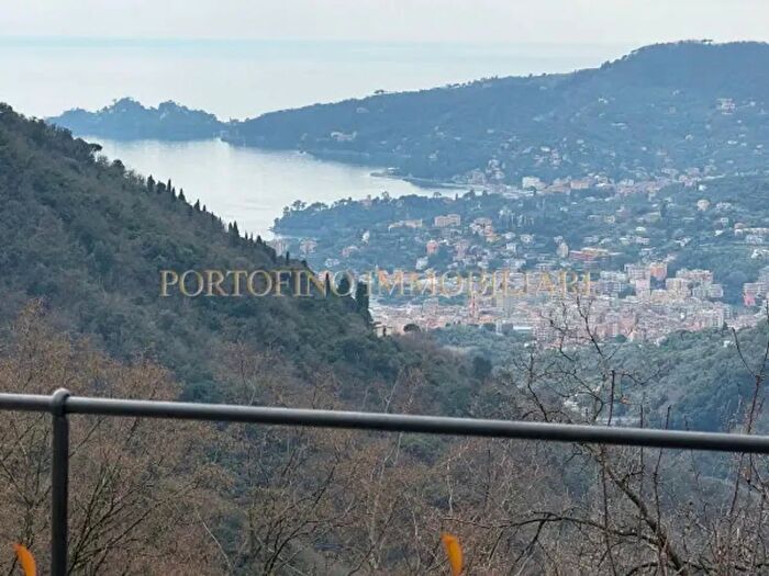 Appartamento con 5 locali in affitto in Località Arenella, Zoagli