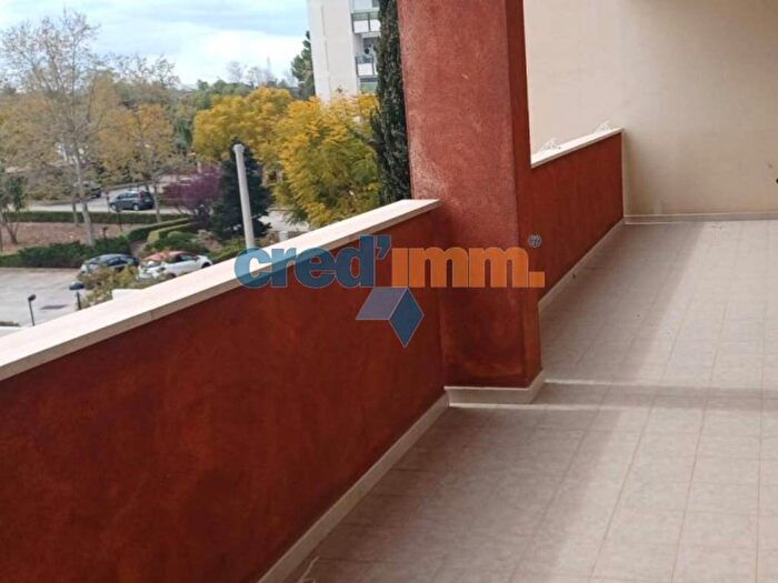Appartamento quadrilocale in affitto in Strada del Carro, Bisceglie