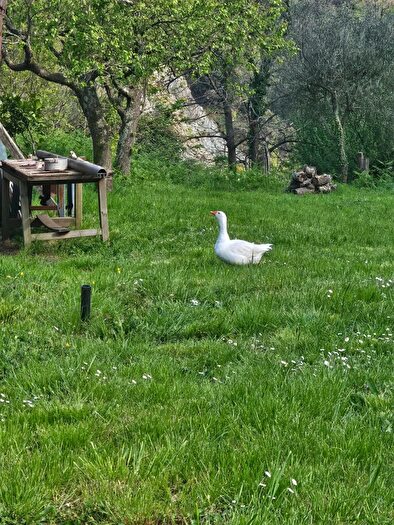 Casa trilocale in vendita in Via San Carlo di Cese, Genova