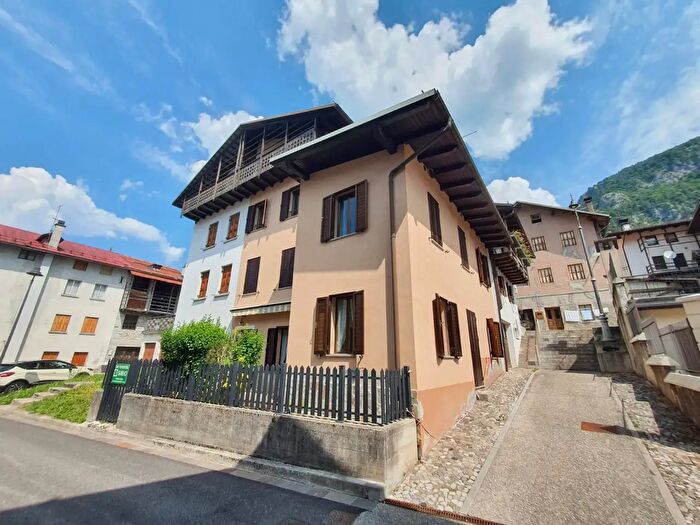 Casa con 6 locali in vendita in Borgo Tredolo, Forni Di Sotto