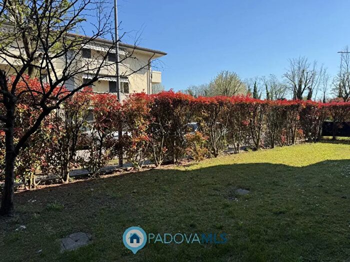 Appartamento trilocale in vendita in Vigodarzere