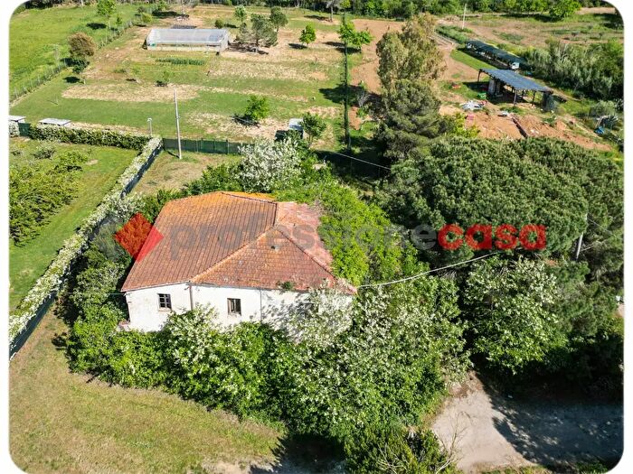 Casa con 14 locali in vendita in Livorno