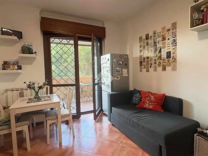 Appartamento monolocale in affitto in Via Piero Gherardi, Roma