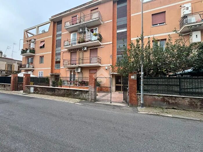 Appartamento trilocale in affitto in Via Giuseppe Alocci, Civitavecchia