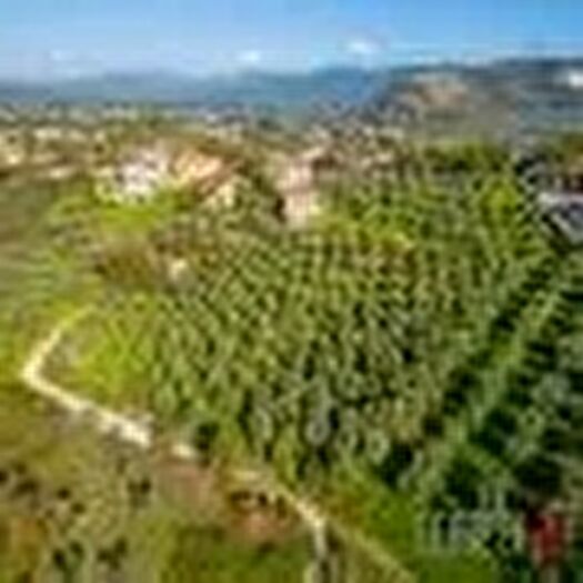 Casa in vendita in Località Archipiglione Poggio Nativo Ri Italia, Poggio Nativo