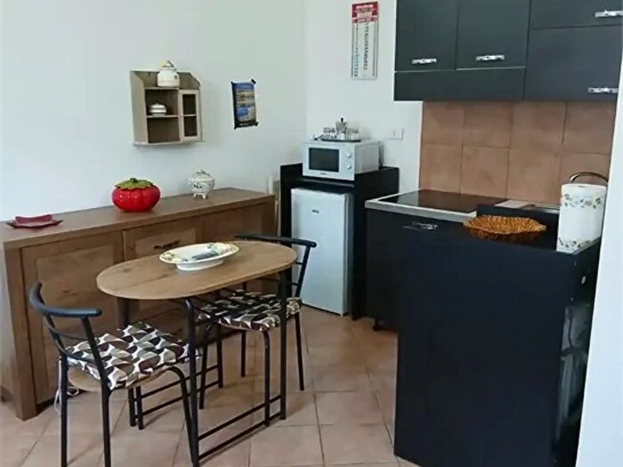 Appartamento monolocale in affitto in Luni