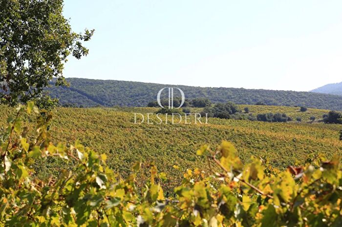 Casa con 12 locali in vendita in Località Apparita Piantata Magliano in Toscana, Magliano In Toscana