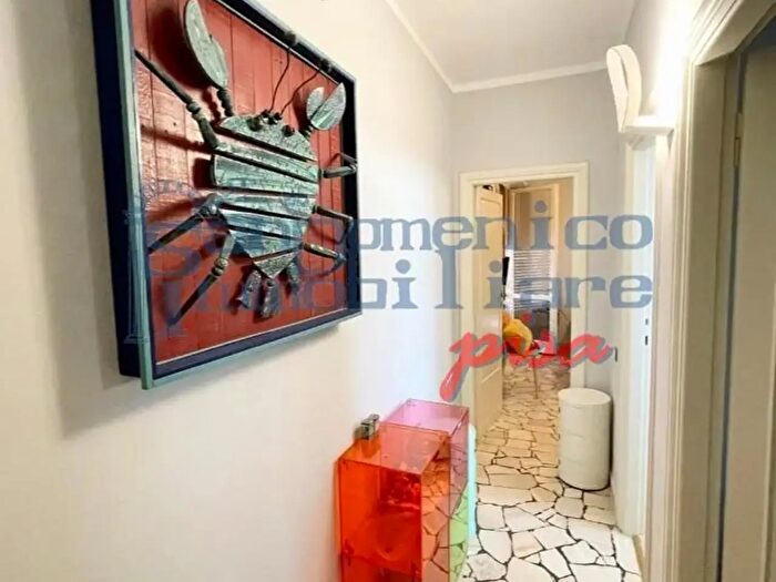 Appartamento trilocale in affitto in Pisa