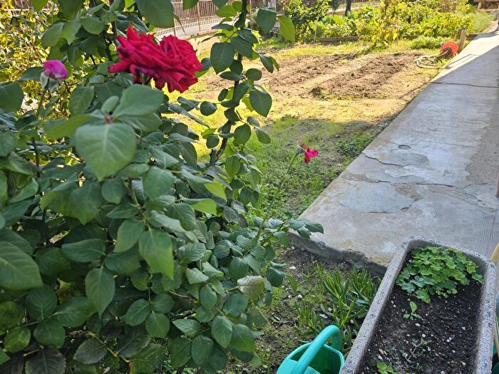 Appartamento quadrilocale in vendita in Via Fabiani, Rignano SullArno