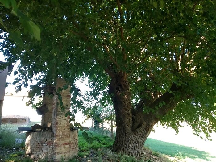 Casa in vendita in Via Luconi, Jesi