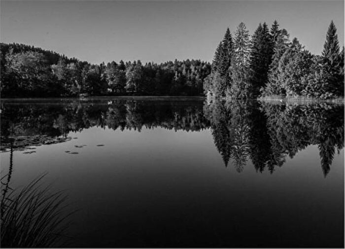 Casa monolocale in vendita in Cei, Aldeno