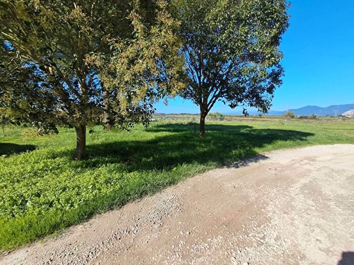 Casa con 6 locali in vendita in Crespina Lorenzana